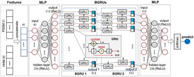 Protein Secondary Structure Prediction With a Reductive Deep Learning Method